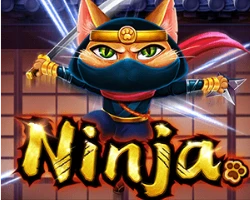 ninja