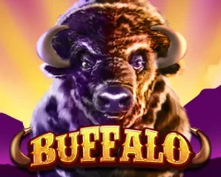 buffalo