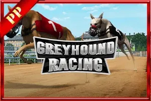 Greyhound Racing